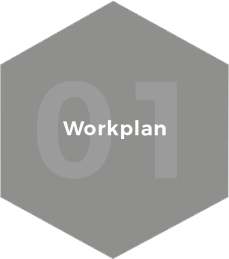 workplan 1